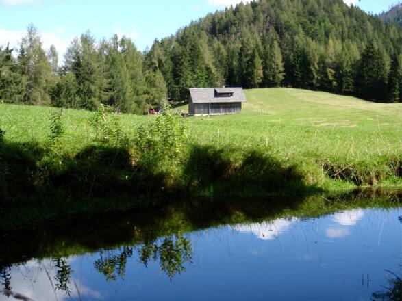 Teich beim Jagdhaus 1.155m