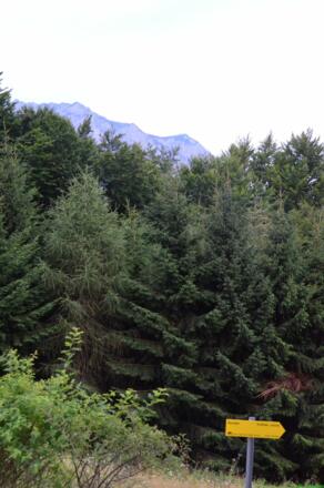 Traunstein- Nordseite - oben angekommen