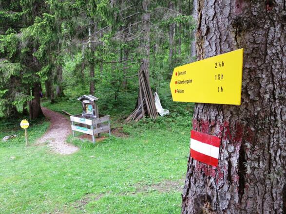 Wir verlassen die Mautstraße und folgen dem Wanderweg zur Feilalm.