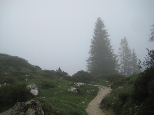 Am Weg (2. Juni 2011)