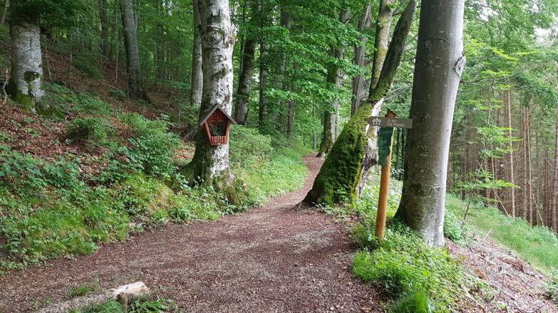 Abzweigung zu den drei Kreuzen oberhalb des Thürbauern