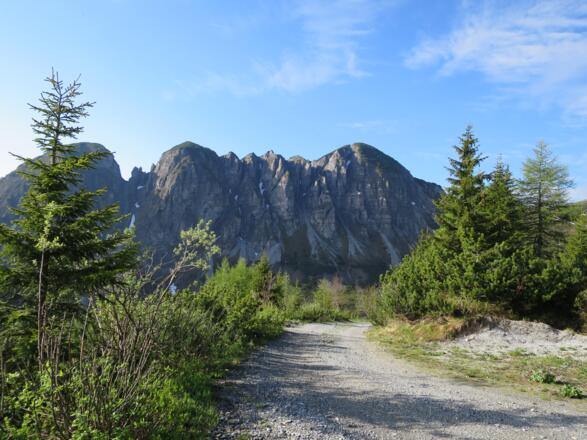 Mehrmals kreuzen wir die Forststraße, im Hintergrund die hohe Burg.