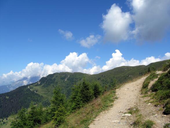 Ein wunderschöner Steig führt geradewegs hinauf. Im Hintergrund der Sender am Venet.