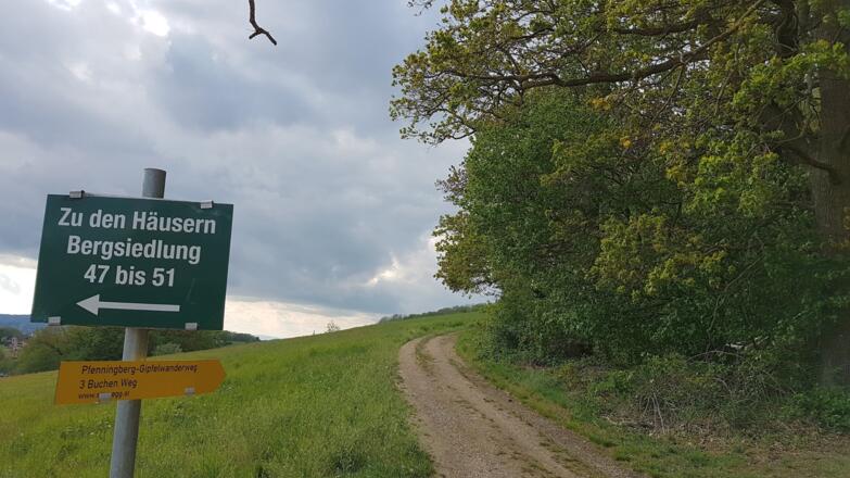 Diesen Feld- und Waldweg rechts hinauf