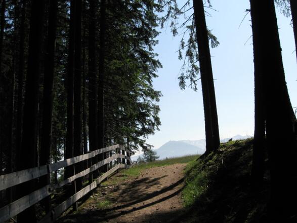 Schöne schattige Waldpassagen mit einmaligen Ausblicken