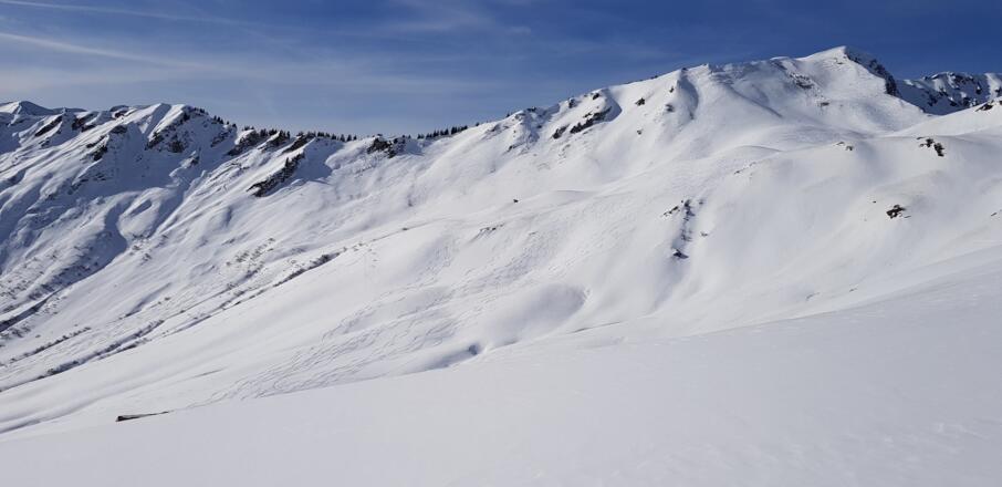 Grünhorn: Der Westhang zur Starzelalpe