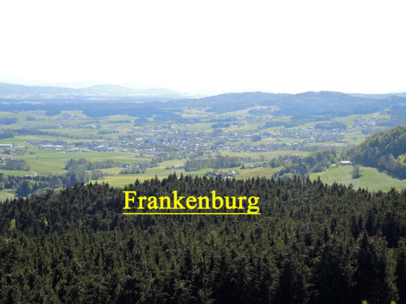 Blick auf Frankenburg