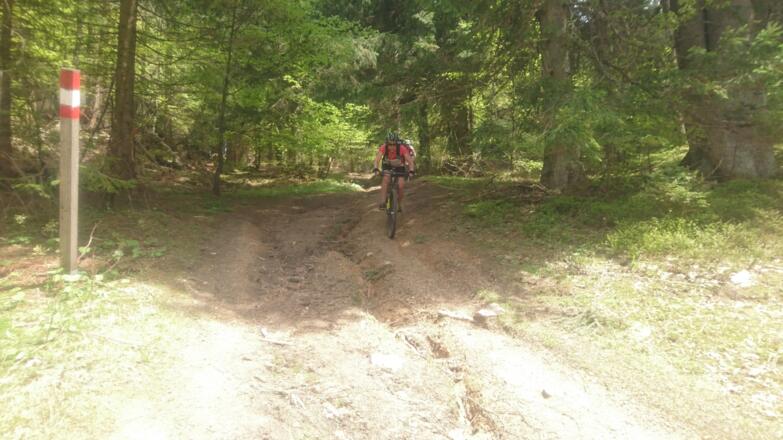 Kurzer Trail Abfahrt Richtung Bodinggraben