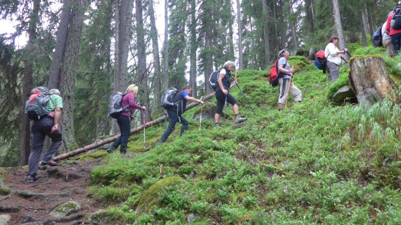 Wegpassage zur Lappachalm