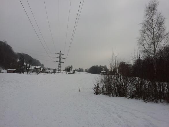 Die Wiese in Richtung Haggen.