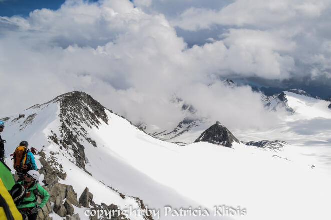vom Wilden Freiger über den Grat des Signalgipfels (Staatsgrenze) zum Becherhaus