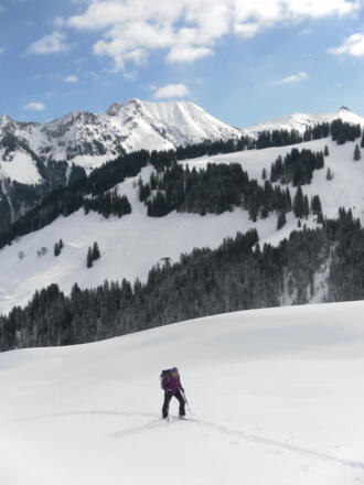 über dem Pletzergraben der Wildseeloder