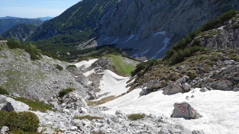 Felsblock im Schnee um 1655m