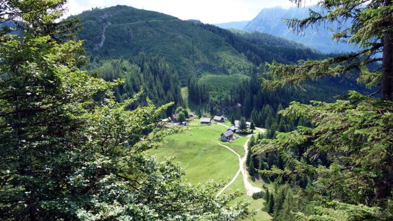 Tiefblick zur Hütteneckalm