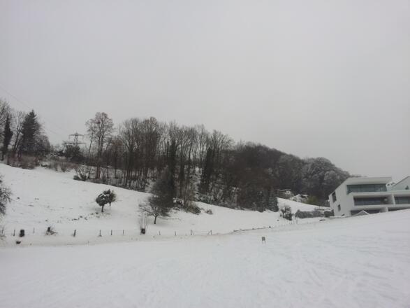 Häuser am Haggen links passieren.