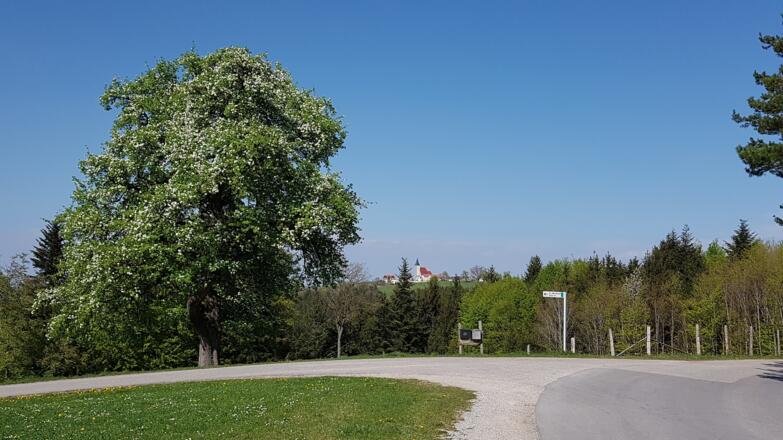 Blick Richtung St. Georgen/Bruckbach