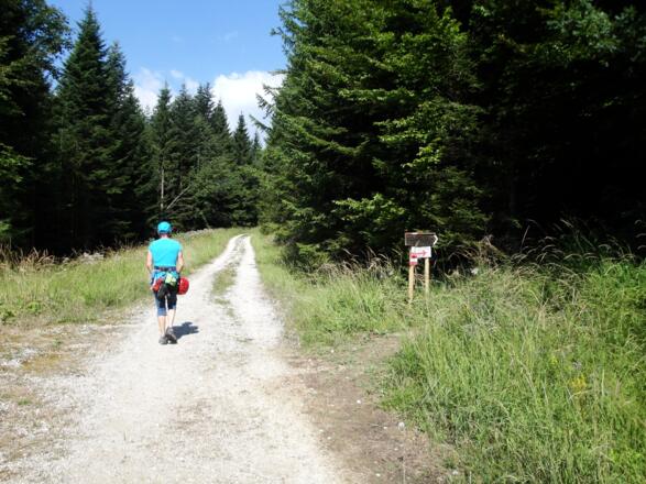 Beim Zustieg folgen wir der Forststraße geradeaus- über den rechts abzweigenden Wanderweg kommen wir nach der Tour herab.