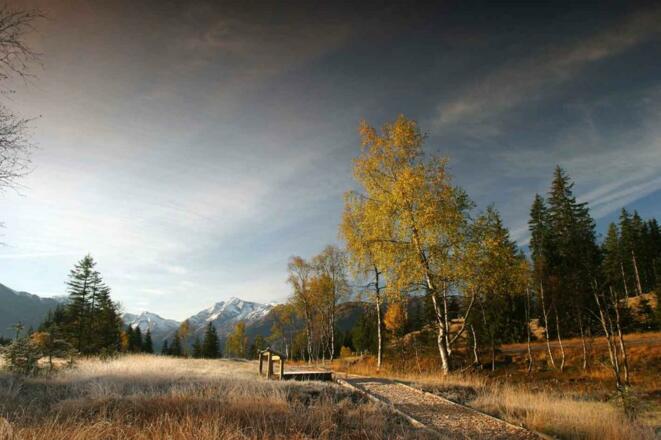 Moorerlebnis Wasenmoos am Pass Thurn