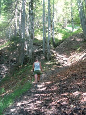 bewaldete Südflanke der Hangspitze