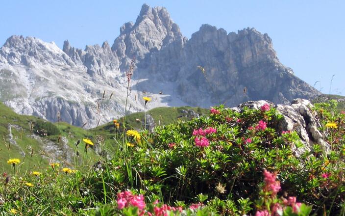 Faulkogel (2.654m)
