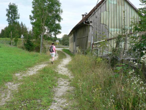 ... und trifft dann wieder auf die Straße