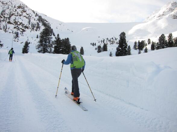 Bis zur Staumauer folgt man der Rodelbahn und dann dem Werksweg oder man verlässt die Rodelbahn bei der nächsten Kehre nach links und folgt dem Tal, das von hier zum linken Ende der Staumauer führt.