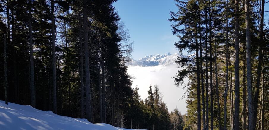 Waldschneisen erleichtern den Aufstieg