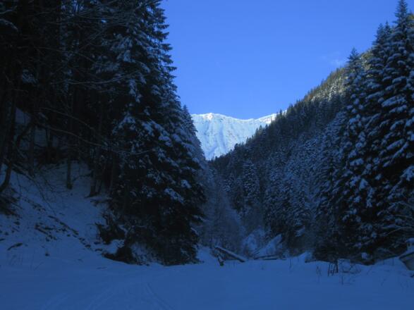 Blick vom Start der Tour: Im Hintergrund die Gartner Wand (2377 m)
