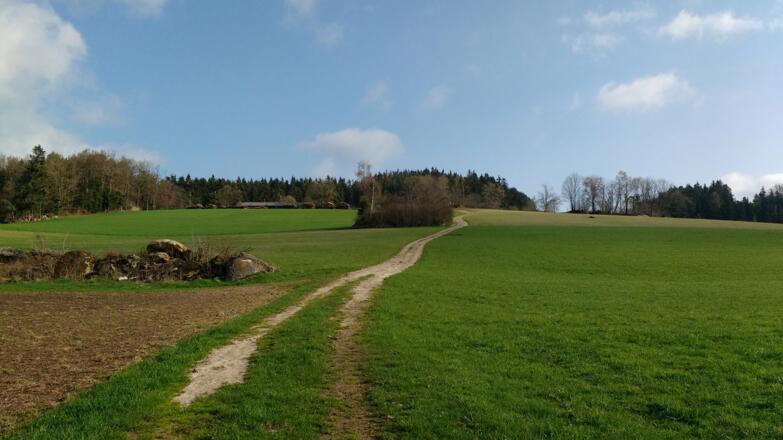 Weg & Wiese