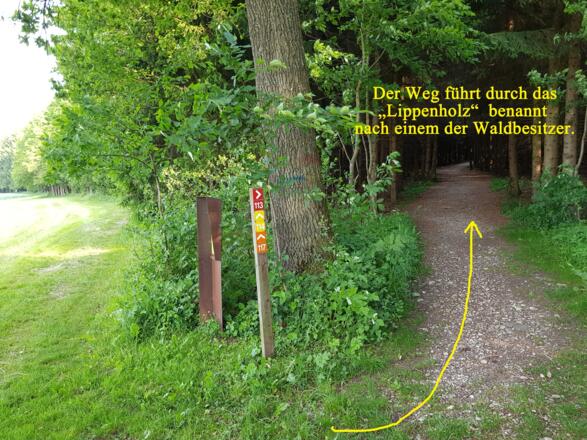 Rechts abbiegen durch das &quot;Lippenholz&quot;
