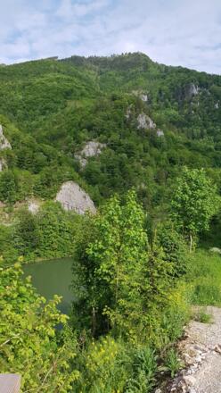 Falkenstein mit Enns