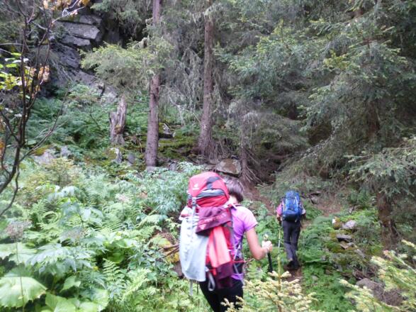 Aufstieg am stark verwachsenen Hundsbach