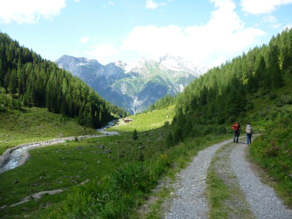 Forstweg ins Tal
