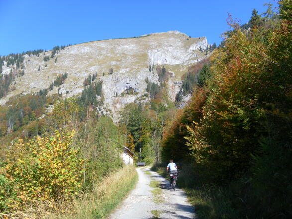 Auerriesen vor Spinnerin