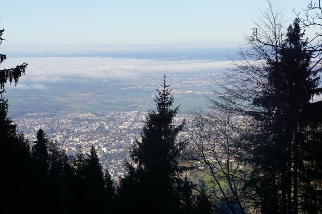 Blick nach Dornbirn