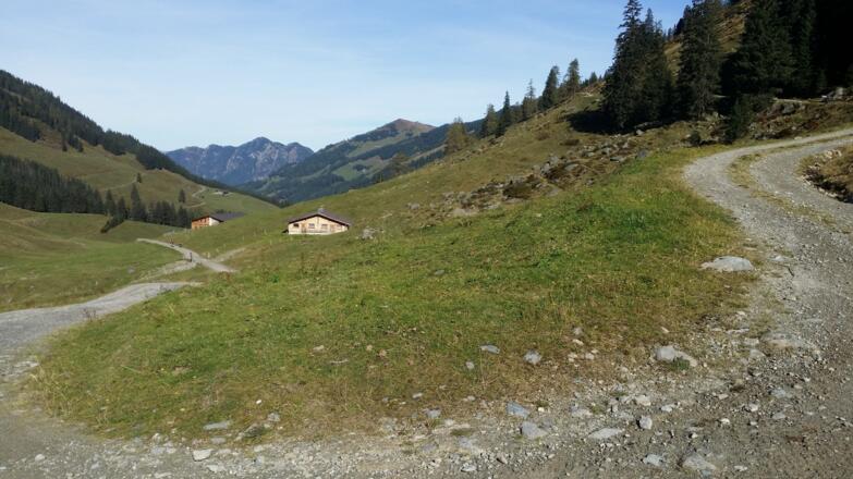Herrlich windet sich die Straße durch Almgelände und lichten Zirbenwald.