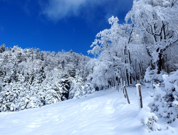 Anstieg vom Menauersattel nordwärts