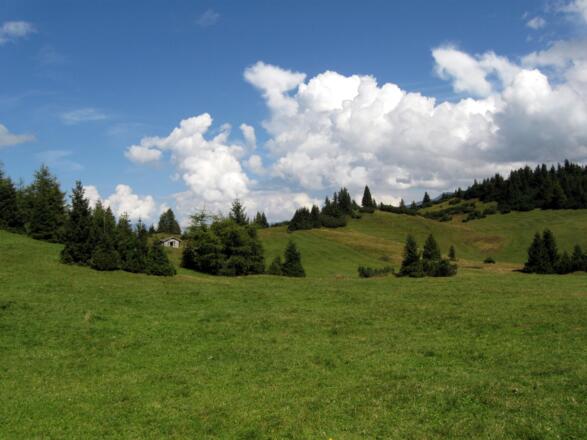 Herrliches Almgelände
