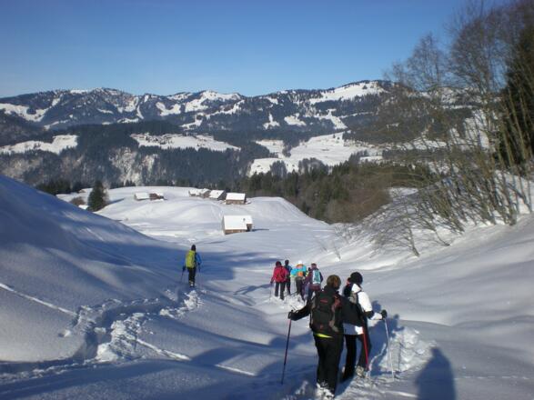 Abstieg zum Rehenbergvorsäß, hinter der Alpe (Nicht im Blickfeld) ist unser Ziel die Nattersbergalpe.