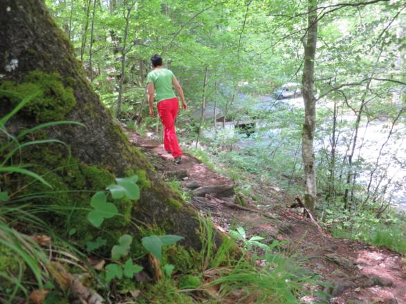 Bei der 2. Ladhütte endet der Fluchtsteig.