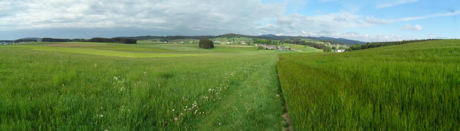 Panorama in der Nähe von Reichenthal