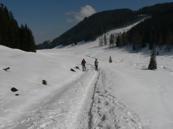 Noch ein kurzes Stück folgen wir dem Güterweg...