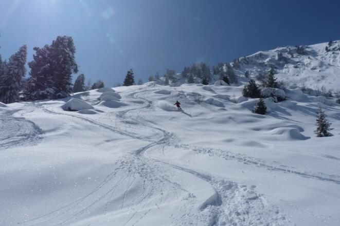 Im Bereich der Wazalm bieten wunderschöne Hänge herrlichen Abfahrtsgenuss.