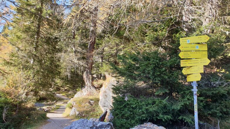 Die Abzweigung Richtung Obernberger Tribulaun an der Westseite des Sees