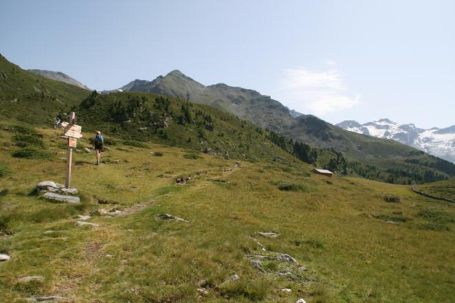 Gut 200 m vor der Oberen Kofler Alm zweigen wir linkerhand ab (Wegschilder).