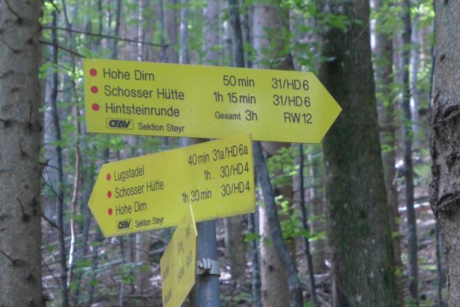 Wegkreuzung An- bzw. Abstieg 30 Minuten vom Start