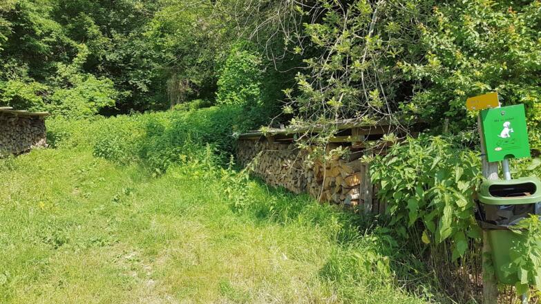 Im Reith beim Tierarzt rein in den Wald