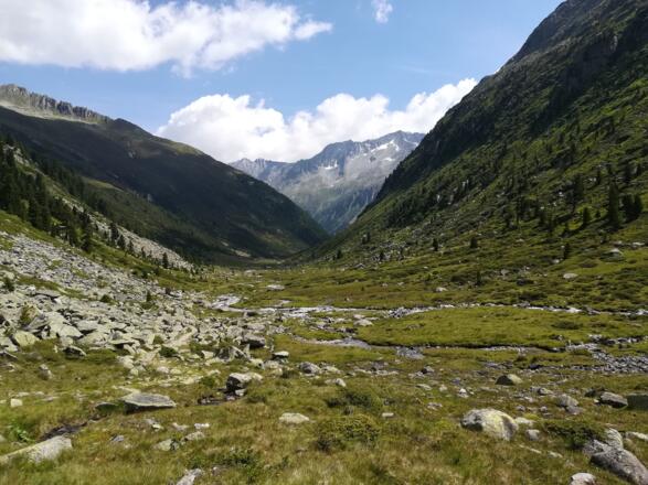 Zillertaler Alpen: Blick auf die letzten Berge der Venedigergruppe, am Weg vom Krimmler Tauernhaus zur Zillerplattenscharte - Variante 02 (wieder mit Alpin 02 vereint)