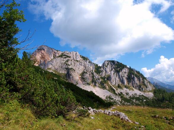 Latschezone um 1650m