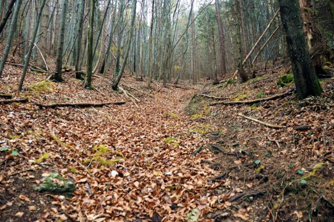 Rinne zum Beilstein-Sattel 695 m - 800 m.